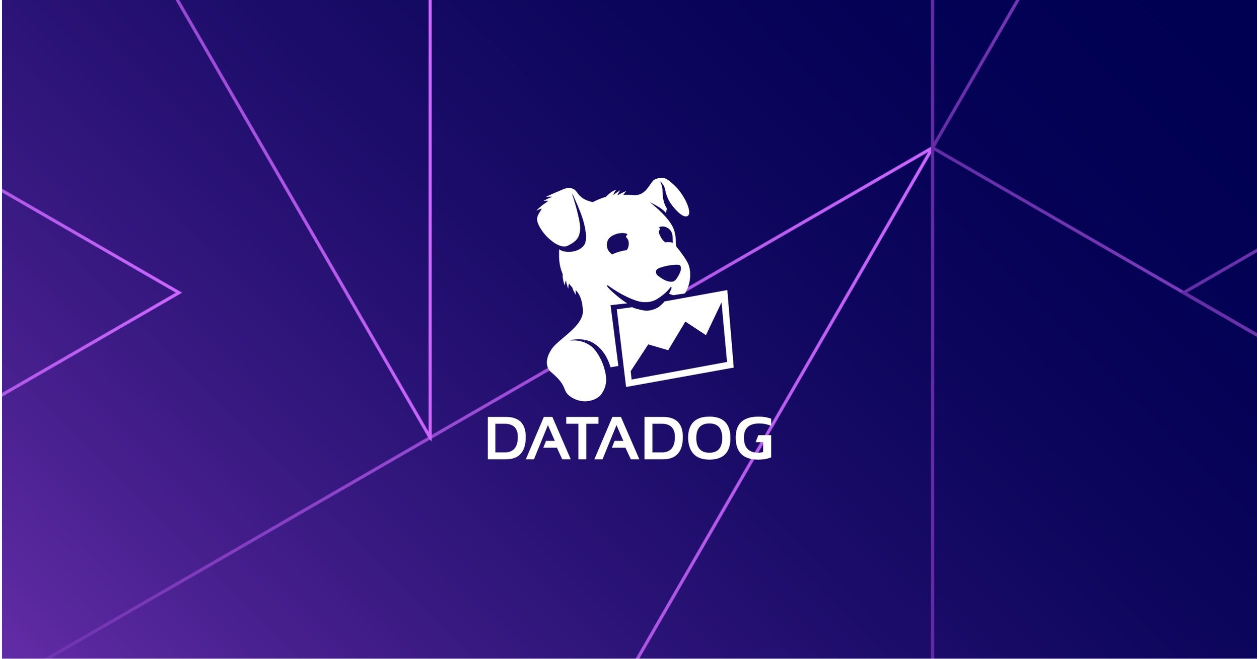 dataadog Network Management And Monitoring Software.
