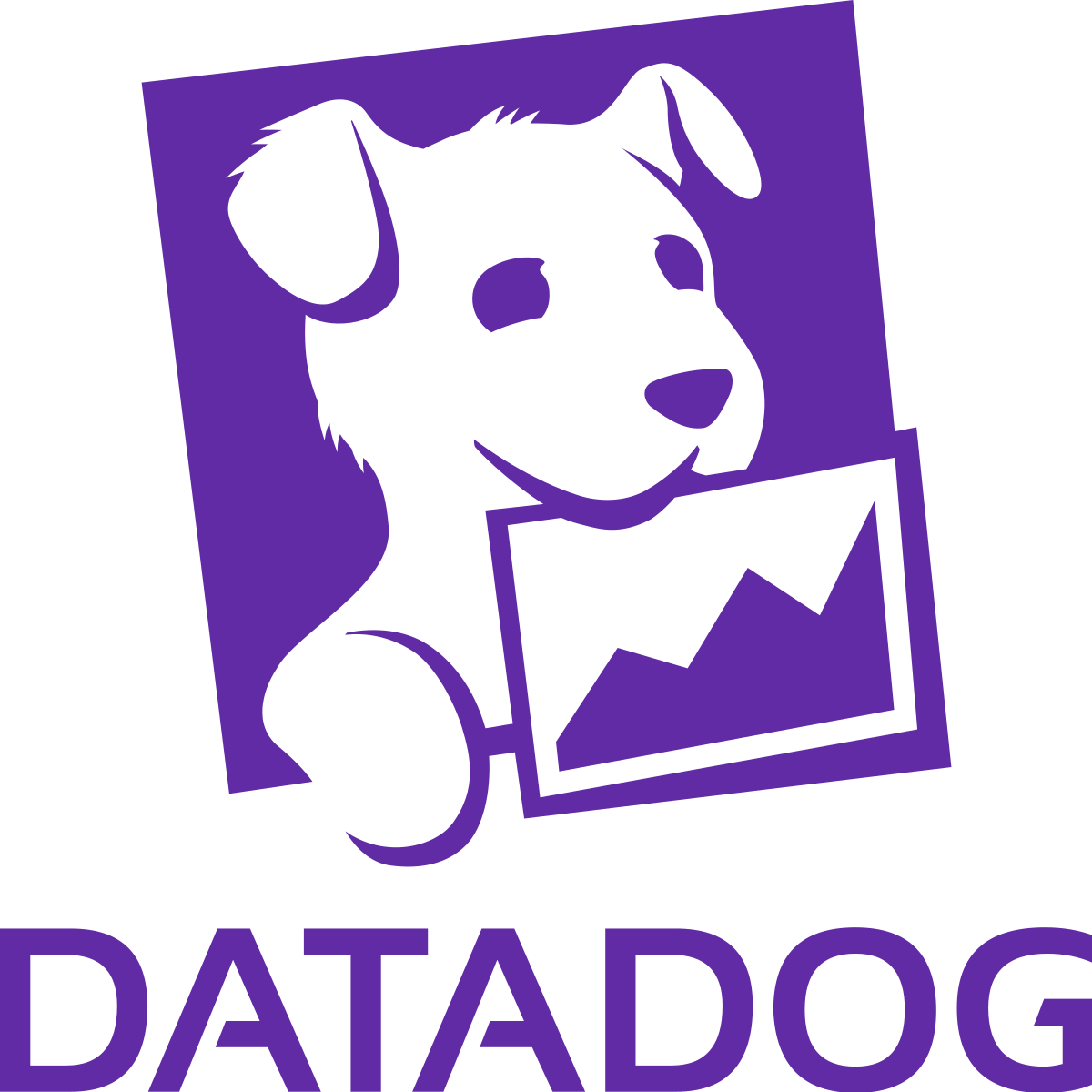 Datadog Network Troubleshooting Software.